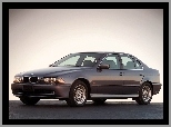 E39, BMW 5