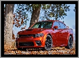 Dodge Charger SRT Hellcat, 2021