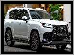 Lexus LX 500d F Sport