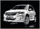 Volkswagen Tiguan, Lusterka